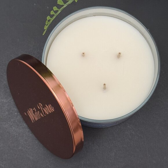 BBW Amethyst Dreams White Barn Bath & Body Works 3 Wick Candle - Picture 6 of 10